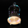 Présentoir En Verre Clair Fleur Dome Cloche De Pot De Cloche Base En Bois LED Décorations De Salle De Lumière