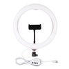 PULUZ PU456B PU456F 10 pouces Dimmable Video Light LED Tube pour Youtube Tik Tok Live Streaming