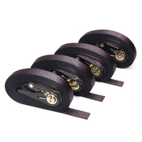 Ratchet Tie Down Cargo Lashing Emballage Demballage Strap Ceinture De Sertissage Charge Binder Assembly Sling Tool