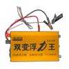 Régulateur de tension 12V Batterie de propulseur Stockner délectrochoc ultrasonique de tête délectro inverseur