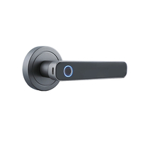 Serrure de porte à poignée dempreintes digitales intelligente Serrure de porte antivol intelligente