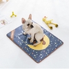 S/M/L/XL glace soie été refroidissement animal de compagnie chien chat chiot coussin tapis tapis maison