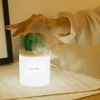 SOTHING 306B 280ML Cactus USB Mini humidificateur ultrasonique aromathérapie voiture humidificateur diffuseur dair