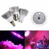 Spectre complet hydroponique de plante de la fleur 8W élèvent la lumière LED lampoule élèvent lampoule de lamp