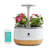 sPlantSmartKitdejardindherbes fraîches intelligent Sprout intérieur LED Light Garden