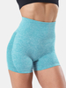 Sport Femmes Couleur Unie Sans Couture Taille Haute Yoga Shorts