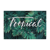 Toile de fond forêt feuilles tropicales vertes toiles de fond en vinyle palmiers et fond de photographie Monstera pour f