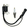 Tondeuse Moteur Moteur à Gaz Magneto Pour HONDA HR214 HR215 HRM215 Moteur Moteur à Gaz
