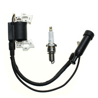 Tondeuse Moteur Moteur à Gaz Magneto Pour HONDA HR214 HR215 HRM215 Moteur Moteur à Gaz