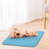 Été Portable été glace soie coussin pour animaux de compagnie tapis de refroidissement chien lit tapis de sol canapé cou