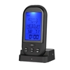 TS-HY62 0-250 Therm Thermomètre noir numérique sans fil avec instrument de mesure de la température de la sonde
