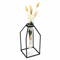 Tube à essai en verre Vase de fleur Vase hydroponique Conteneur de terrarium