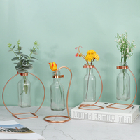 Tube à essai suspendu créatif Vase en verre transparent bouteille de fleur hydroponique bonsa pour le jardinage intérie
