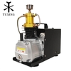 TUXING TXES031 4500Psi 300Bar 300Bar Pcp Compresseur Dair Électrique Haute Pression Pompe Pneumatique PCP Pistolet