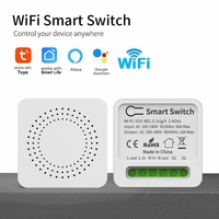 Tuya/ZB WIFI Mini interrupteur de lumière intelligent bricolage 10A 16A télécommande 2 voies fonctionne avec Alexa Googl