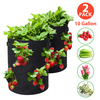 Tvird Lot de 2 sacs de plantation de fraises de 10 gallons pour pots de plantation en tissu Sacs en tissu respirant de q