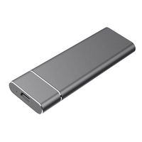 Type-C3.1 Gen1 M.2 NVME Mobile SSD Solid State Drive 120/128/240/256/480/512 Go Disque dur à semi-conducteurs en métal a
