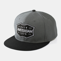 Unisexe Coton Broderie Logo Lettre Style Hip-Hop Chapeau De Baseball À Bord Plat Chapeau Snapback