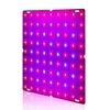 Usine Ultra mince 81 / 169LEDs UV élèvent la lampe végétale à spectre complet léger pour la fleur de plante hydroponique