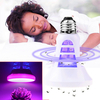 Usine intérieure de lampe anti-moustique USB LED Grow Grow Light E27 110V 220V LED Insecte Bug Zapper Piège à graines de