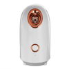 Vapeur facial professionnel SPA Nano humidificateur à brume chaude ionique Machine thermique outil de soin de la peau du