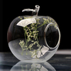 Vase en verre à fleurs en forme de pomme Moss Micro Landscape Eco Bottle