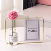 Vase en verre hydroponique en fer forgé porte-conteneurs plantes fleurs