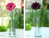 Vase en verre transparent avec bouchon de bouteille en bois ornements vase de coupe fleur maison arrangement de décorati