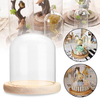 Verre clair Dome Base en bois Cloche Socle Présentoir Micro Paysage DIY Vase Décorations De La Chambre