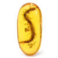 Véritable Centipede Pendentif Ambre Jaune Plantes Insectes Décoration DIY Accessoires