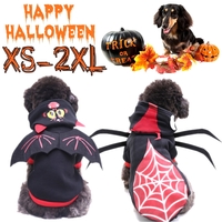 vêtements de chat dhalloween pour chien de compagnie