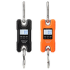 WH-C500 Balance de chasse de haute précision 500kg / 100g Balance électronique portable Mini échelle de grue numérique