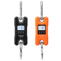 WH-C500 Balance de chasse de haute précision 500kg / 100g Balance électronique portable Mini échelle de grue numérique