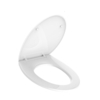 WHALE SPOUT Salle de bains Toilette Électrique Chauffée Couvre Siège IPX4 Imperméable Sourdine Descendant Toilette