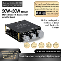 XY-T50H TPA3116D2 50W + 50W bluetooth 5.0 puissance numérique stéréo HIFI Module amplificateur contrôle APP avec réglage