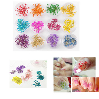 12 Colors 3D Nail Art Dry Dried Flower DIY Tips Decoration