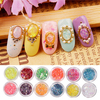 12 Colors/Kit Nail Art Glitter Shell Decoration Crushed Chips Powder Dust Tips DIY Sticker
