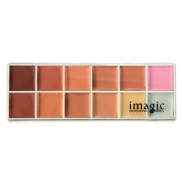 12 Naked Colors Thin Lasting Concealer Full Coverage Foundation Cream Palette Makeup
