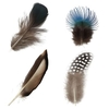 20pcs DIY Feathers Beautiful Assorted Natural Pheasant Feathers