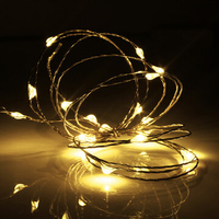 2M 20 LED Copper Wire Fairy String Light USB Powered Xmas Party Home Decor DC5V