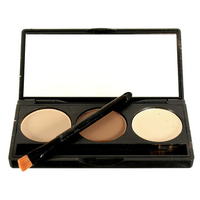 3 Colors Makeup Concealer Palette Face Facial Contour Powder Professional Beauty Cosmetic