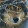 30 x 30cm Wolf 5D Full Drill Diamond Painting DIY Cross Stitch Embroidery Craft Home Decor