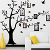 3D DIY Photo Tree PVC Wall Decals Adhesive Wall Stickers Mural Art Home Decor