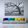 4PCS Unframed Big Tree Landscape Modern Abstract Wall Decor Art Oil Painting Canvas
