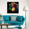 5D Painting Diamond Embroidery Cross Stitch Mosaic Decor DIY Home Animial Gorilla Painting Diamond