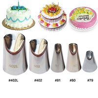 5Pcs Baking Tools Stainless Steel Decorators Blow Molding Tools Converters Set Icing Piping Nozzles
