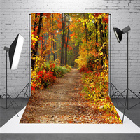 5x7FT Autumn Fall Forest Photography Vinyl Background Studio Photo Backdrops