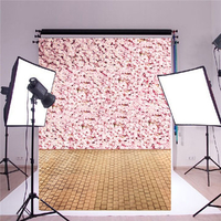 5X7ft Valentine