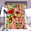 5x7ft Vinyl Valentine
