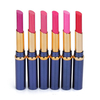 6 Colors Long Lasting Lipstick Lip Balm Hydrating Cosmetic Makeup